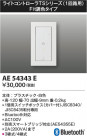 Koizumi ߾ 饤ȥȥ AE54343E