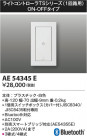 Koizumi ߾ 饤ȥȥ AE54345E