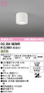 ODELIC ǥå ƥꥢ饤 OG264062WR