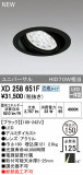 ODELIC ǥå 饤 XD258651FþʾLEDη¡ʰΡѤ䡡Ҹ -LIGHTING DEPOT-