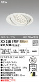 ODELIC ǥå 饤 XD258670FþʾLEDη¡ʰΡѤ䡡Ҹ -LIGHTING DEPOT-