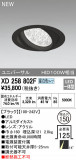 ODELIC ǥå 饤 XD258802FþʾLEDη¡ʰΡѤ䡡Ҹ -LIGHTING DEPOT-