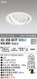 ODELIC ǥå 饤 XD258807FþʾLEDη¡ʰΡѤ䡡Ҹ -LIGHTING DEPOT-