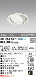 ODELIC ǥå 饤 XD258137FþʾLEDη¡ʰΡѤ䡡Ҹ -LIGHTING DEPOT-