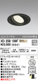 ODELIC ǥå 饤 XD258199FþʾLEDη¡ʰΡѤ䡡Ҹ -LIGHTING DEPOT-