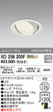 ODELIC ǥå 饤 XD258200FþʾLEDη¡ʰΡѤ䡡Ҹ -LIGHTING DEPOT-