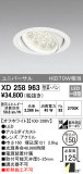 ODELIC ǥå 饤 XD258963þʾLEDη¡ʰΡѤ䡡Ҹ -LIGHTING DEPOT-