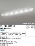 ODELIC ǥå ١饤 XL251538P1CþʾLEDη¡ʰΡѤ䡡Ҹ -LIGHTING DEPOT-