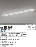 ODELIC ǥå ١饤 XL251539BþʾLEDη¡ʰΡѤ䡡Ҹ -LIGHTING DEPOT-