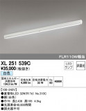 ODELIC ǥå ١饤 XL251539CþʾLEDη¡ʰΡѤ䡡Ҹ -LIGHTING DEPOT-