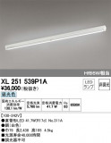 ODELIC ǥå ١饤 XL251539P1AþʾLEDη¡ʰΡѤ䡡Ҹ -LIGHTING DEPOT-