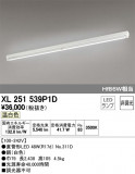 ODELIC ǥå ١饤 XL251539P1DþʾLEDη¡ʰΡѤ䡡Ҹ -LIGHTING DEPOT-