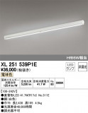 ODELIC ǥå ١饤 XL251539P1EþʾLEDη¡ʰΡѤ䡡Ҹ -LIGHTING DEPOT-