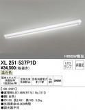 ODELIC ǥå ١饤 XL251537P1DþʾLEDη¡ʰΡѤ䡡Ҹ -LIGHTING DEPOT-