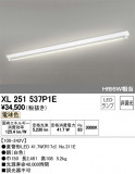 ODELIC ǥå ١饤 XL251537P1EþʾLEDη¡ʰΡѤ䡡Ҹ -LIGHTING DEPOT-