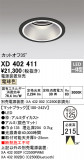 ODELIC ǥå 饤 XD402411þʾLEDη¡ʰΡѤ䡡Ҹ -LIGHTING DEPOT-