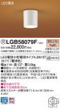 Panasonic 󥰥饤 LGB58079FþʾLEDη¡ʰΡѤ䡡Ҹ -LIGHTING DEPOT-