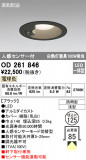 ODELIC ǥå ƥꥢ饤 OD261846þʾLEDη¡ʰΡѤ䡡Ҹ -LIGHTING DEPOT-