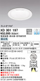 ODELIC ǥå 饤 XD301197þʾLEDη¡ʰΡѤ䡡Ҹ -LIGHTING DEPOT-