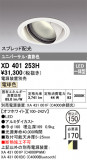 ODELIC ǥå 饤 XD401253HþʾLEDη¡ʰΡѤ䡡Ҹ -LIGHTING DEPOT-