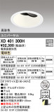 ODELIC ǥå 饤 XD401300HþʾLEDη¡ʰΡѤ䡡Ҹ -LIGHTING DEPOT-