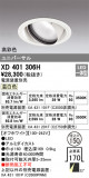 ODELIC ǥå 饤 XD401306HþʾLEDη¡ʰΡѤ䡡Ҹ -LIGHTING DEPOT-
