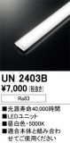 ODELIC ǥå ¾ UN2403BþʾLEDη¡ʰΡѤ䡡Ҹ -LIGHTING DEPOT-
