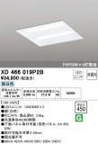 ODELIC ǥå ١饤 XD466019P2BþʾLEDη¡ʰΡѤ䡡Ҹ -LIGHTING DEPOT-