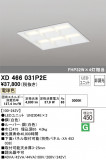 ODELIC ǥå ١饤 XD466031P2EþʾLEDη¡ʰΡѤ䡡Ҹ -LIGHTING DEPOT-