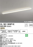 ODELIC ǥå ١饤 XL501003P1EþʾLEDη¡ʰΡѤ䡡Ҹ -LIGHTING DEPOT-