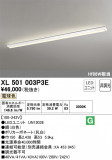 ODELIC ǥå ١饤 XL501003P3EþʾLEDη¡ʰΡѤ䡡Ҹ -LIGHTING DEPOT-