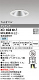 ODELIC ǥå 饤 XD403645þʾLEDη¡ʰΡѤ䡡Ҹ -LIGHTING DEPOT-
