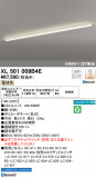 ODELIC ǥå ١饤 XL501009B4EþʾLEDη¡ʰΡѤ䡡Ҹ -LIGHTING DEPOT-