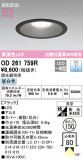 ODELIC ǥå 饤 OD261759RþʾLEDη¡ʰΡѤ䡡Ҹ -LIGHTING DEPOT-
