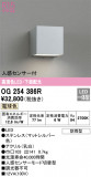 ODELIC ǥå ƥꥢ饤 OG254386RþʾLEDη¡ʰΡѤ䡡Ҹ -LIGHTING DEPOT-