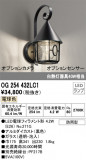ODELIC ǥå ƥꥢ饤 OG254432LC1þʾLEDη¡ʰΡѤ䡡Ҹ -LIGHTING DEPOT-
