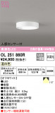 ODELIC ǥå 󥰥饤 OL251860RþʾLEDη¡ʰΡѤ䡡Ҹ -LIGHTING DEPOT-
