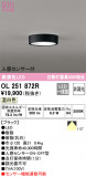 ODELIC ǥå 󥰥饤 OL251872RþʾLEDη¡ʰΡѤ䡡Ҹ -LIGHTING DEPOT-