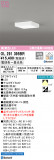 ODELIC ǥå 󥰥饤 OL291395BRþʾLEDη¡ʰΡѤ䡡Ҹ -LIGHTING DEPOT-