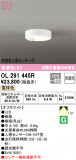 ODELIC ǥå 󥰥饤 OL291445RþʾLEDη¡ʰΡѤ䡡Ҹ -LIGHTING DEPOT-