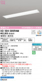 ODELIC ǥå ١饤 XD504005R4MþʾLEDη¡ʰΡѤ䡡Ҹ -LIGHTING DEPOT-