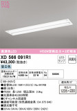 ODELIC ǥå ١饤 XD566091R1þʾLEDη¡ʰΡѤ䡡Ҹ -LIGHTING DEPOT-