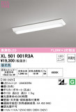 ODELIC ǥå ١饤 XL501001R3AþʾLEDη¡ʰΡѤ䡡Ҹ -LIGHTING DEPOT-