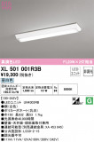 ODELIC ǥå ١饤 XL501001R3BþʾLEDη¡ʰΡѤ䡡Ҹ -LIGHTING DEPOT-