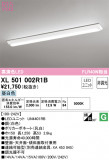 ODELIC ǥå ١饤 XL501002R1BþʾLEDη¡ʰΡѤ䡡Ҹ -LIGHTING DEPOT-