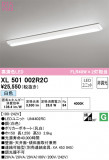 ODELIC ǥå ١饤 XL501002R2CþʾLEDη¡ʰΡѤ䡡Ҹ -LIGHTING DEPOT-