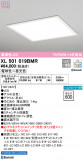 ODELIC ǥå ١饤 XL501019BMRþʾLEDη¡ʰΡѤ䡡Ҹ -LIGHTING DEPOT-