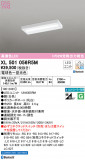 ODELIC ǥå ١饤 XL501056R5MþʾLEDη¡ʰΡѤ䡡Ҹ -LIGHTING DEPOT-