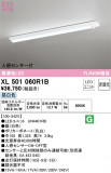 ODELIC ǥå ١饤 XL501060R1BþʾLEDη¡ʰΡѤ䡡Ҹ -LIGHTING DEPOT-