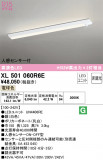 ODELIC ǥå ١饤 XL501060R6EþʾLEDη¡ʰΡѤ䡡Ҹ -LIGHTING DEPOT-